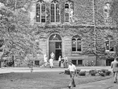 Why they are called Ivy League schools