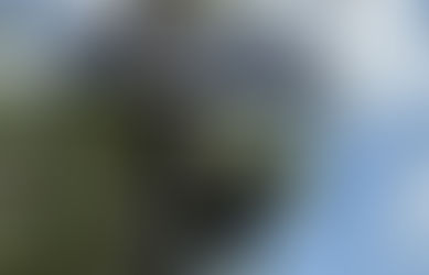 Athens Flock camera vandalized
