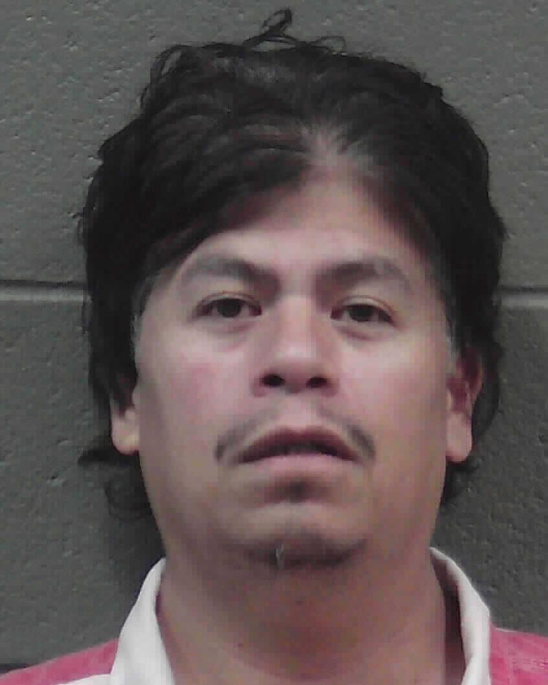 Man pleads guilty to killing 16 dogs in Oglethorpe County