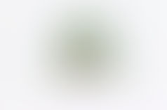 Froggie spring fling at Sandy Creek Nature Center