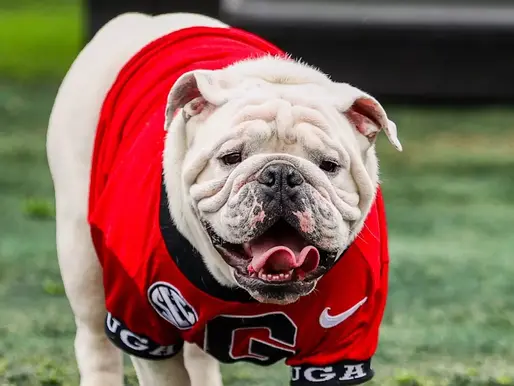Uga XI to be introduced at 'Collaring ceremony'