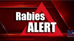 Community cat in Athens tests positive for rabies