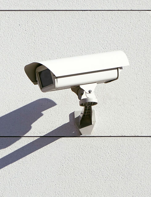 Security%20Surveillance_edited.jpg