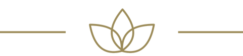 Original on Transparent_edited.png