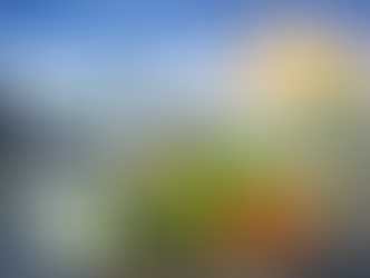 Is Alfen ondergewaardeerd? De datacenterboom kan alles veranderen