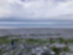 IMG_8843.jpeg