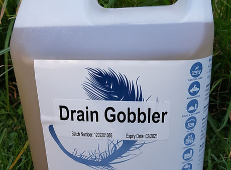 202003_DrainGobbler.jpg