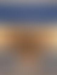 Castro - Pastel de Nata Atelier