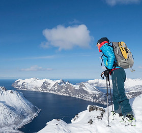 Senja_Store-Hesten_Kristin_Folsland_Olse