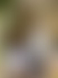 商業週刊｜從閒置地到新地標，立陽開發攜手留白計畫，共築龜山植藝實驗所