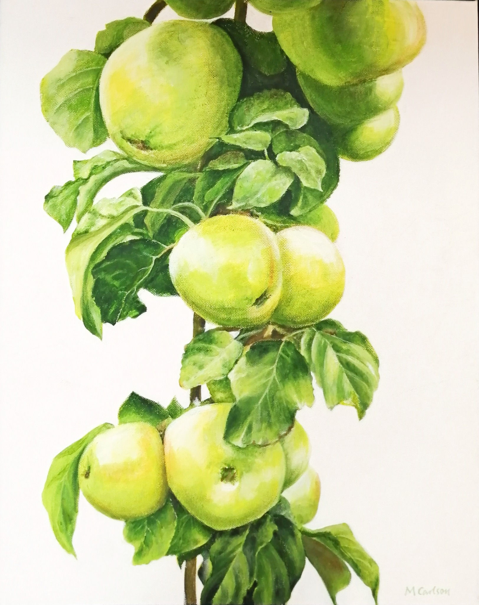 Green Apples 1