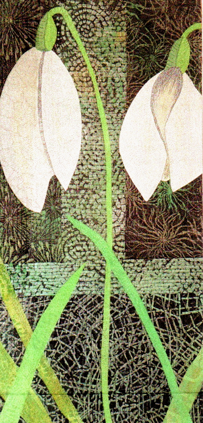 Fiona Brook