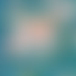 Nadolig Llawen/Merry Christmas!