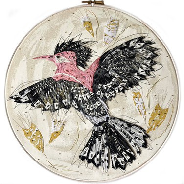 Hoopoe Bird - CCE/044
