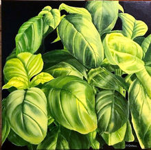 Maureen Carlson - Fresh Basil_edited.jpg