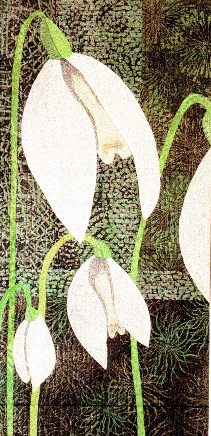 Fiona Brook