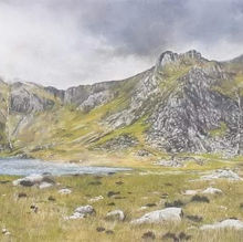 William Reimnitz - Rugged Beauty_edited.jpg