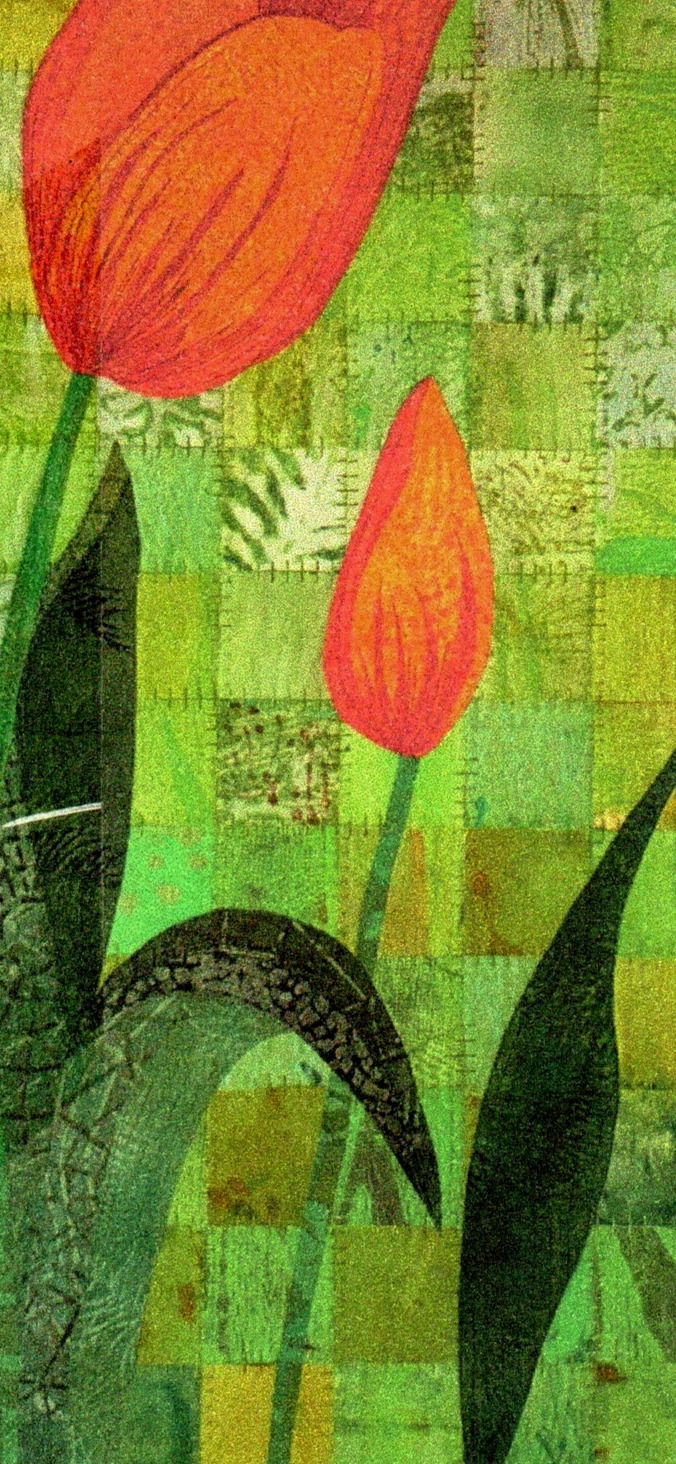 Fiona Brook