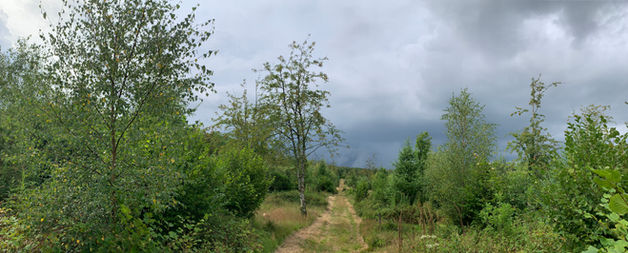 IMG_6418.jpeg