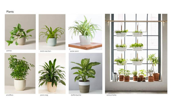 Copy of Wayfair Basics- Creative Inform 2 [IN PROGRESS].pptx (7).jpg