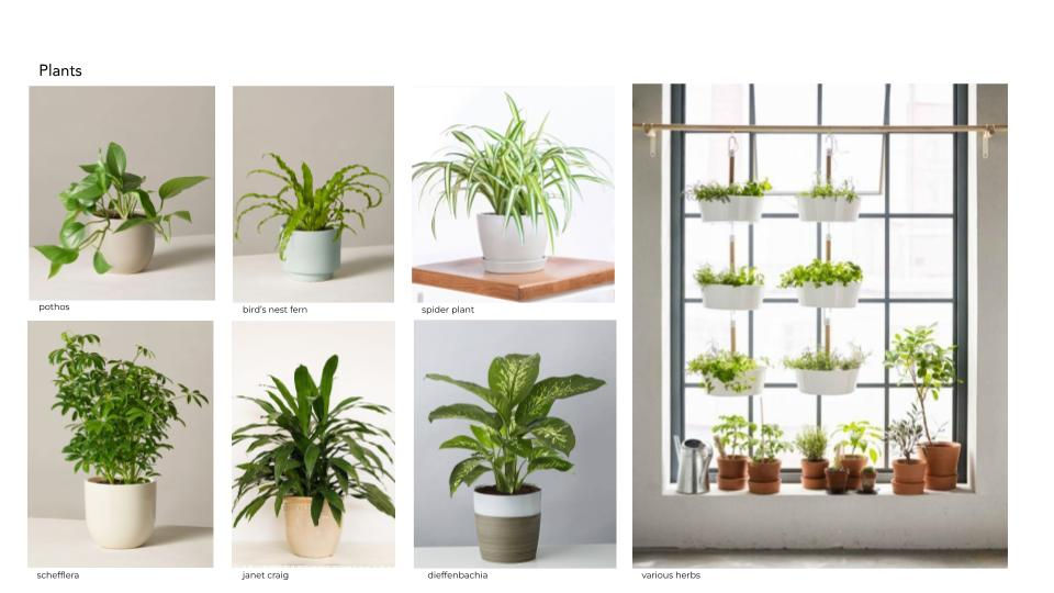 Copy of Wayfair Basics- Creative Inform 2 [IN PROGRESS].pptx (7).jpg