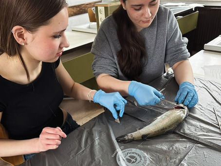 Spannender Einblick in die Biologie!