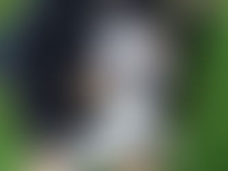 Frodo: Schulhund in Ausbildung