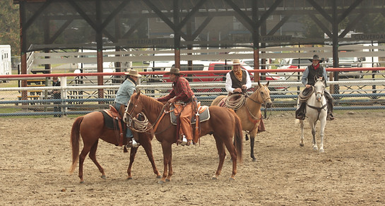 Friendly competitors shaking hands at a BC Bridlehorse event