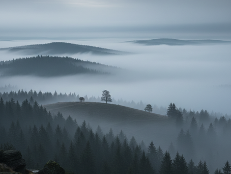 Fotografieren bei Nebel