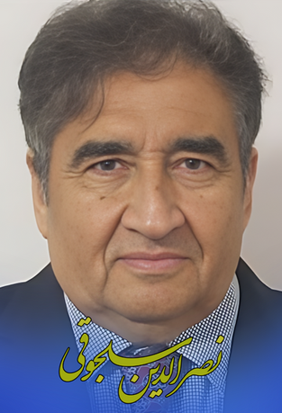 تخریب آرامگاه در هرات، نصرالدین سلجوقی
