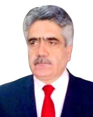 چگونگی استقرار صلح و ثبات در افغانستان، سید نظام الدین وحدت