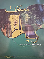 کوچه باغ معرفت .jpg