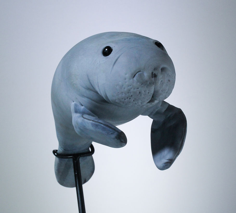 Thumbnail: Child Manatee