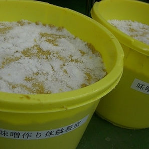 miso10.jpg