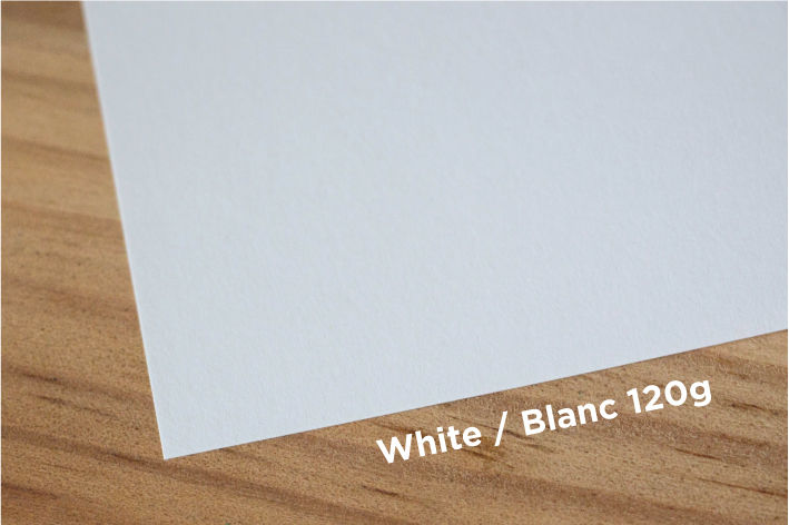 Miniature : Impression lino vache