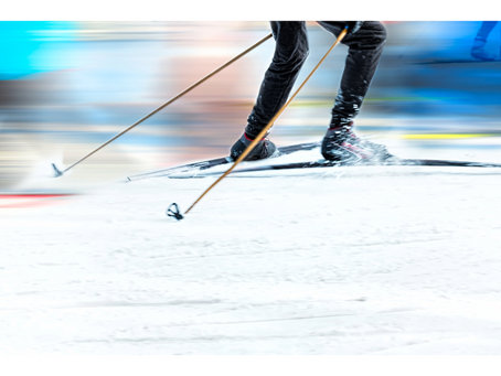Cross Country Skier