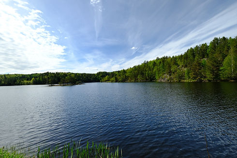 Landschaft mit See und Wald
