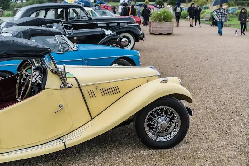 A row of cars are displayed at a Trentham Gardens Classic Car Meet.