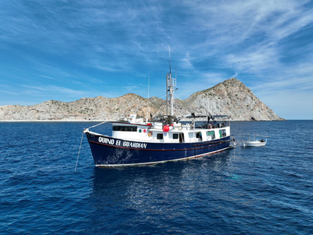 From a Ship to the Universe · Fishing Refuges 2/4