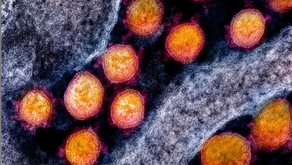 Di Rundung Wabah COVID-19, Tetap Berpikiran Rasional!