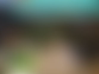 Quiosque em shopping sem presença digital não vai dar certo
