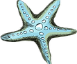 Starfish