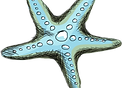 Starfish
