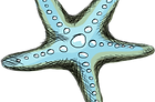 Étoile de mer