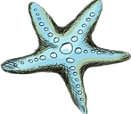 Starfish
