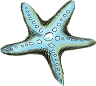 Starfish
