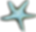 Starfish