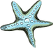 Starfish