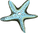 Estrella de mar