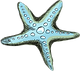 Starfish